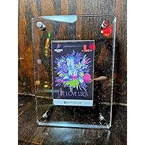 【ミーノ】DARTSLIVE ダーツカード ダートベア 完全未使用品 ミーノ様専用】DARTSLIVE ダーツカード ダートベア 完全未使用品