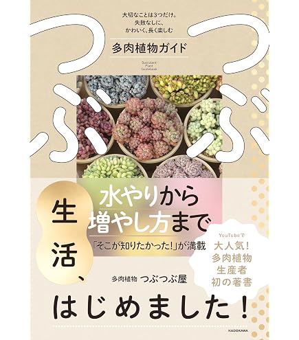 Amazon.co.jp: 多肉植物 カット苗 おまかせセット 寄せ植え 10種類