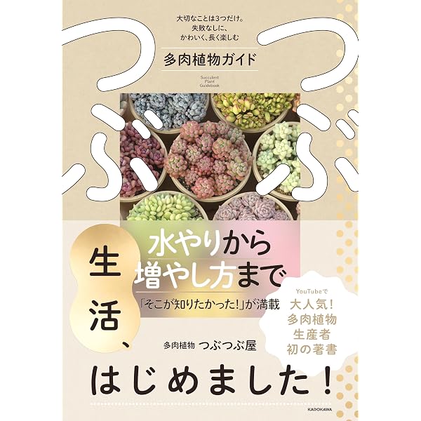 コノフィツム全書 | conocono /須藤浩 |本 | 通販 | Amazon