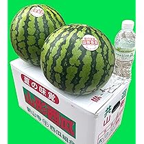 Amazon.co.jp: すいか 松本ハイランドすいか A等級 5Lサイズ以上