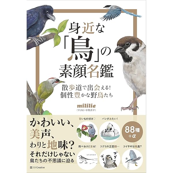 すずめページ Amazon.co.jp: スズメの謎：身近な野鳥が減っている!? 電子書籍