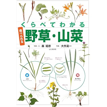 Amazon.co.jp 最新リリース: 植物学 の新着ランキングです。