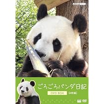 Amazon.co.jp: 【Amazon.co.jp限定】ごろごろパンダ日記 通常版 DVD