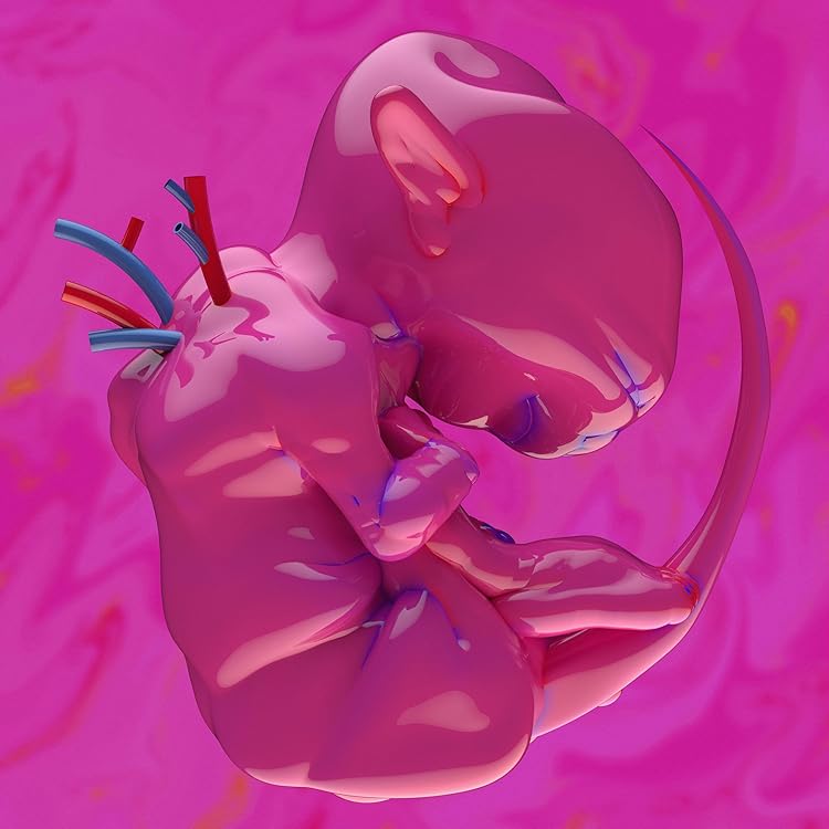 Amazon.co.jp: 春と修羅※通常盤(CD): ミュージック