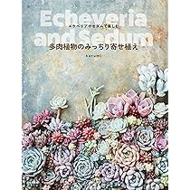 多肉植物のみっちり寄せ植え | kurumi |本 | 通販 | Amazon