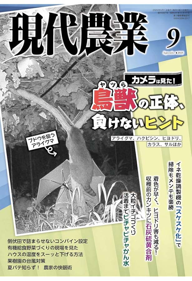 Amazon.co.jp: 現代農業: 農家がリアルに考えた 米の適正価格 (2025年8