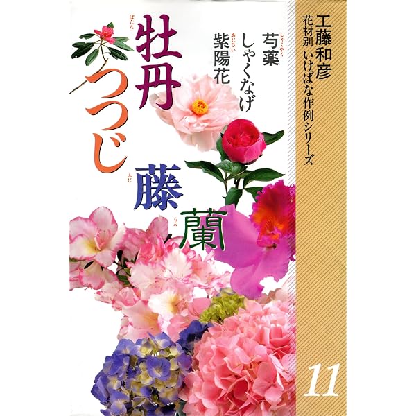 花材別いけばな作例シリーズ 9 山野草 | 工藤和彦 | 華道 | Kindle