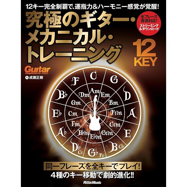 【絶版・超希少】アル・ディメオラ ギタースコア 矢堀孝一 採譜・解説 TAB譜 ハイブリッド・ジャズ・ギター完全マニュアル（DVD付） | 矢堀 孝一