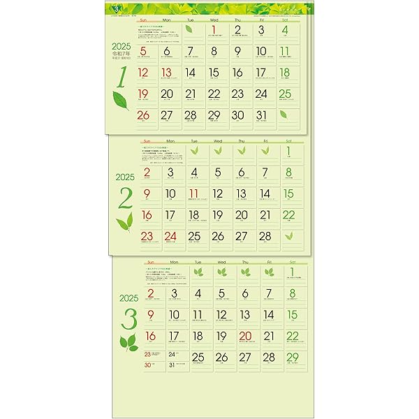 Amazon.co.jp: トーダン 2026年 カレンダー 壁掛け グリーン3ヶ月eco