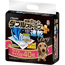 Amazon.co.jp: クリーンワン 消臭炭シート ダブルストッププラス 速乾