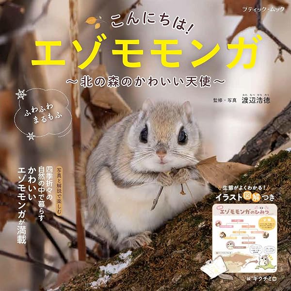 Amazon.co.jp: 森でつながる エゾモモンガ (命のつながり 8) : 原田佳