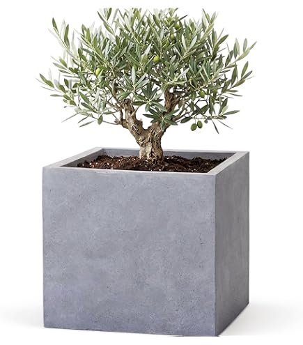 Amazon.co.jp: 植木鉢 大型 コルテス シリンド XS 24 グレーテラゾ