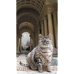 猫 iPhone SE/8/7/6s(750×1334)壁紙 2023カレンダー 世界の自由ネコ 猫 iPhone SE/8/7/6s(750×1334)壁紙 2023カレンダー 世界の自由ネコ