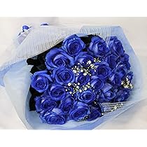 Amazon｜PURIZA 青いバラ カスミ草 グリーン付き 生花 花束 「神の祝福 