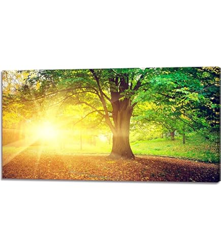 Amazon.co.jp: HI-STANDARD ハイスタンダード ハイスタ キャンバス