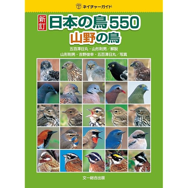 Amazon.co.jp: 日本の鳥550 水辺の鳥 増補改訂版 (ネイチャーガイド