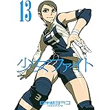 少女ファイト（１３） (イブニングコミックス)