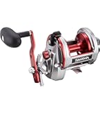 DAIWA - Daiwaシーライン石鯛50 DAIWA 12シーライン 石鯛 50の最安値・インプレ・釣果 | 本音の