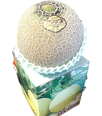 Amazon.co.jp: メロン プリンセスニーナ 秀品 1.4kg×2玉
