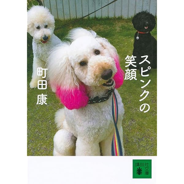 町田康 小説 等 39冊 珍妙な峠 | 町田 康 |本 | 通販 | Amazon