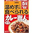 江崎グリコ 常備用カレー職人中辛 (常備用・非常食・保存食) 170g ×10個