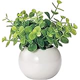 ミニ インテリアグリーン 造花 観葉植物 かわいい まあるい 光触媒 グリーン ユーカリ
