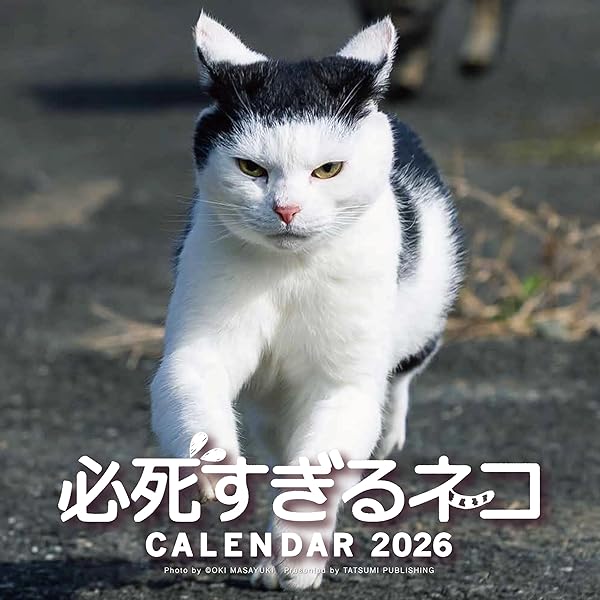 ワル猫カレンダーMOOK 2025 (SUNエンタメMOOK) | 南幅俊輔, カレー沢薫
