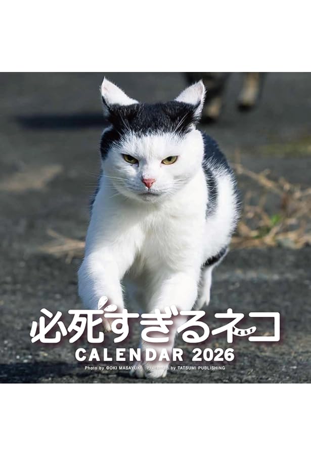 黒猫カレンダー2025 ([カレンダー]) | 沖 昌之 |本 | 通販 | Amazon