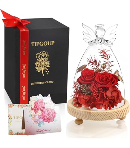 Amazon.co.jp: PS2 ルール オブ ローズ RULE of ROSE : ホーム