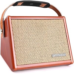 ammoon ギターアンプ アコースティックギターアンプ コンパクト BT内蔵 独立チャンネル仕様 ファーストアンプに最…