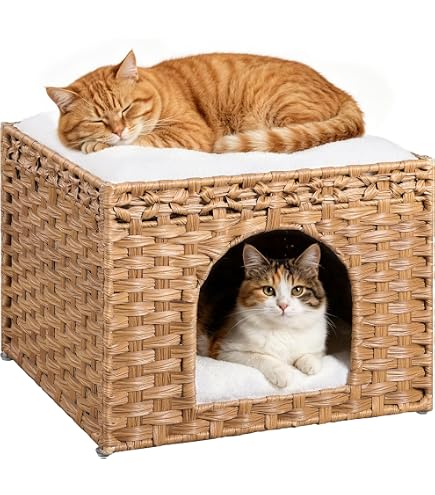 Amazon | PETKIT ペットキット スマートペットハウス(冷暖房ハウス