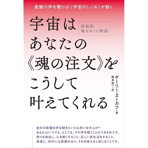 魂のアップデート スピリチュアルパートナーシップ[上] 新次元を歩むと