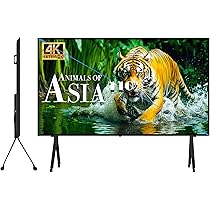 Amazon | GTUOXIES 110 インチ LED スクリーン 4K UHD スマート