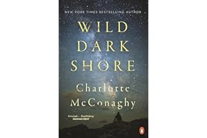 Wild Dark Shore: 'A triumph . . . Breathtaking.' – HANNAH KENT