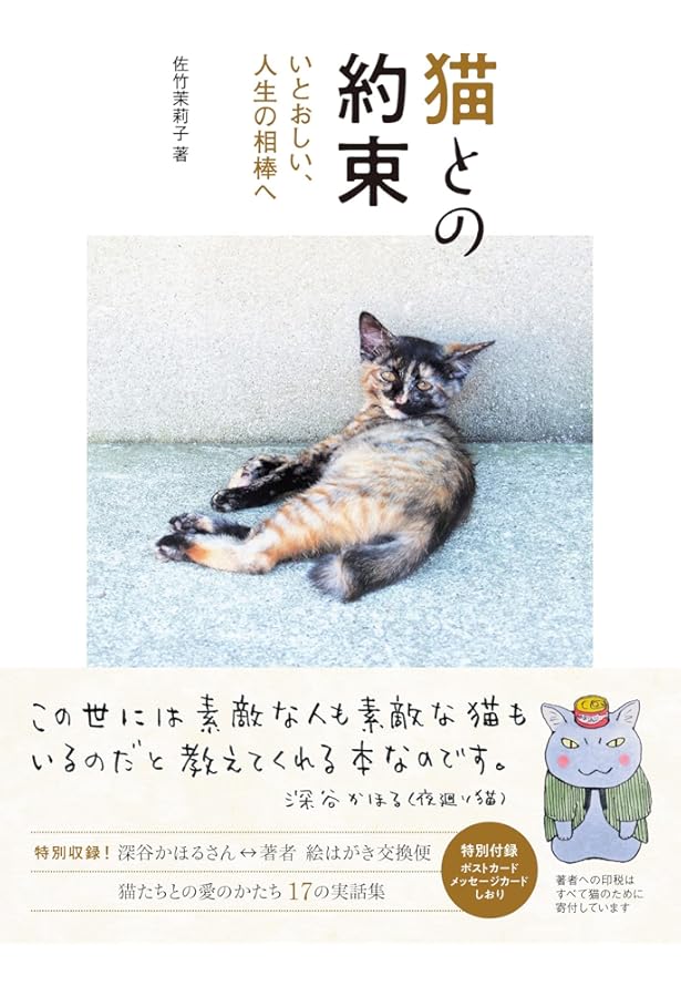 猫だって……。 | 佐竹 茉莉子 |本 | 通販 | Amazon