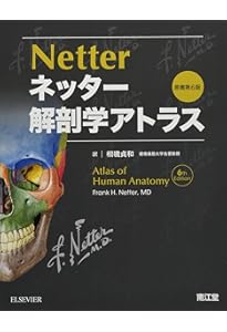ネッター解剖学アトラス : 第7版 商品詳細ページ | メディカルブック