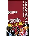 トランプvsバイデン 「冷たい内戦」と「危機の20年」の狭間 (PHP新書)