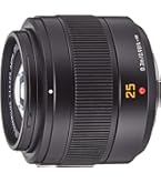 【美品】LUMIX VARIO ELMARIT 8-18mm レンズ Panasonic LUMIX G Leica DG Vario-Elmarit 8-18mm f/2.8-4
