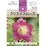 クリスマスローズ (NHK趣味の園芸12か月栽培ナビ(2))