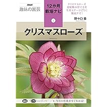 クリスマスローズ (NHK趣味の園芸12か月栽培ナビ(2)) | 野々口 稔 |本