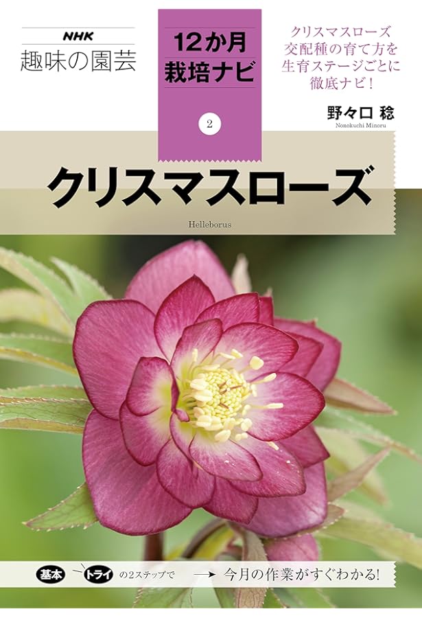 原種系クリスマスローズ (NHK趣味の園芸 よくわかる栽培12か月