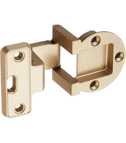 Amazon.co.jp: 杉田エース ドア用金物 アングル丁番 20x20 セントク FC