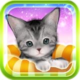 コーデにゃんこ