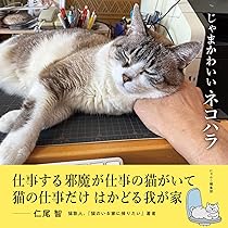 ネコハラ 81D42AK3b2L._AC_UL210_SR210,