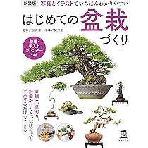 【中古】 初めての盆栽/西東社/中山草司 中古】 初めての盆栽/西東社/中山草司 Amazon.co.jp: 西東社