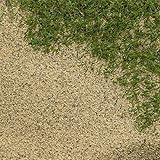 【芝生用 目砂 乾燥砂】木曽川流域産 洗い砂 [0-1mm] 20kg
