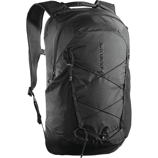 Amazon.co.jp: [サロモン] バックパック・リュックサック XT 15 OG