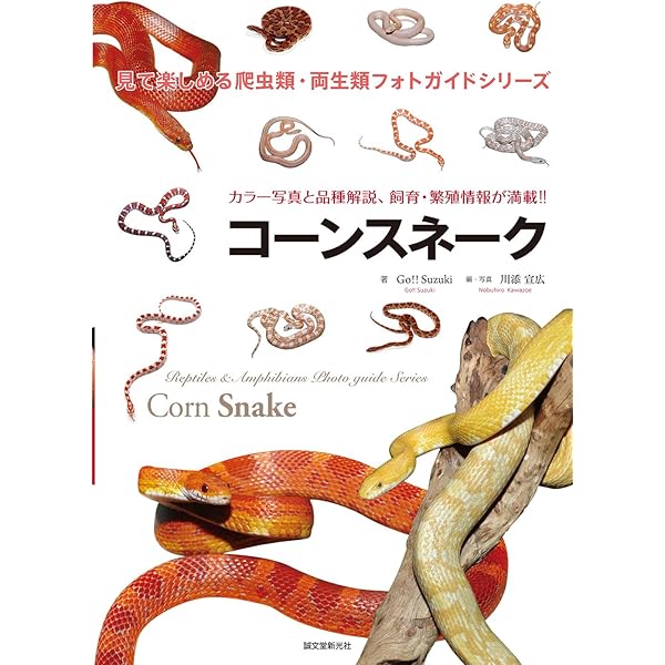 REP FAN レプファン Vol.7 (サクラムック) |本 | 通販 | Amazon