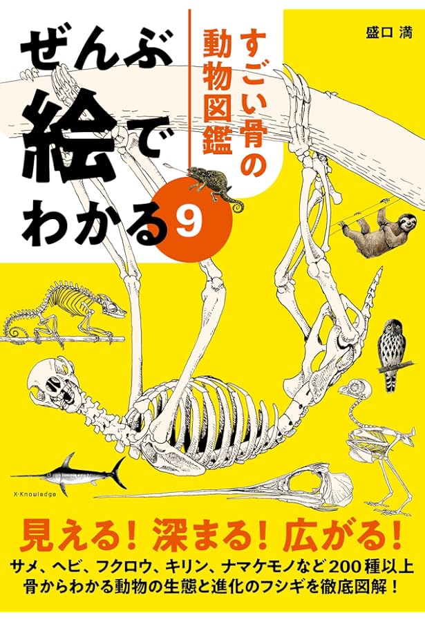 Amazon.co.jp: 骨の博物館1 動物の骨 : 遠藤 秀紀, 黒輪 篤嗣: 本