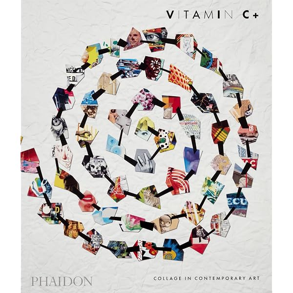 Amazon | Vitamin P: New Perspectives in Painting | Schwabsky